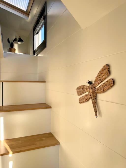 Tiny House With Sauna & Jacuzzi Near Amsterdam Vijfhuizen Exteriör bild